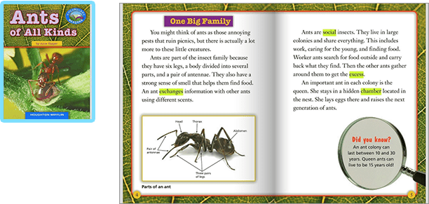 Vocaシリーズ ゛Ants of All Kinds″Level7